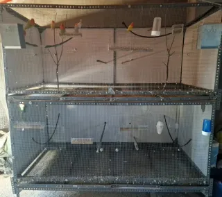 Voladero para pájaros