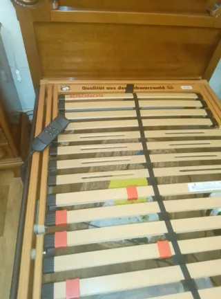 Cama Plegable Articulada Eléctrica