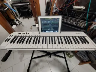 Teclado Controlador MIDI  Samson Carbon 61