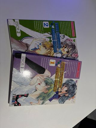 Profe indiscreto, Amante secreto. Megumi Toda.