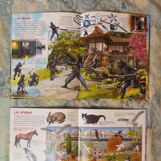 "Busca los animales de tu ciudad" y "Busca gerrero