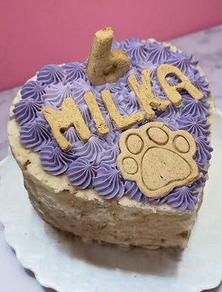 Delicias para mascotas: Pasteles y Galletas