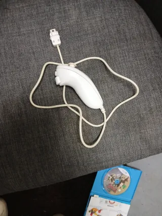 Controller Wii Nintendo