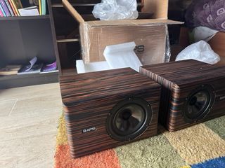 Monitores de estudio APS Coax 7
