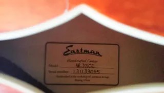 Eastman AR371CE Guitarra Jazz Archtop