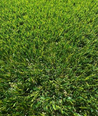 OFERTA! Césped artificial 40mm