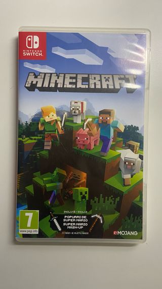Minecraft Nintendo Switch