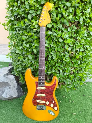 Stratocaster Partes Repuestos Accesorios