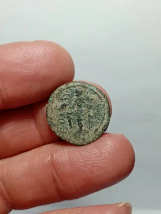 Moneda Ibérica Carteia San Roque Antigua