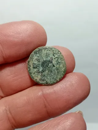 Moneda Ibérica Carteia San Roque Antigua