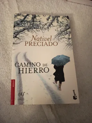 Camino de hierro