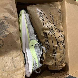 Zapatillas Nike Pegasus Trail 5 ReactX