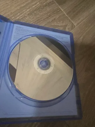 Juego PS4 DayZ Survival