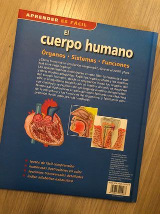 El cuerpo humano. Órganos - sistemas - funciones