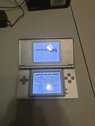 Nintendo DS Argento