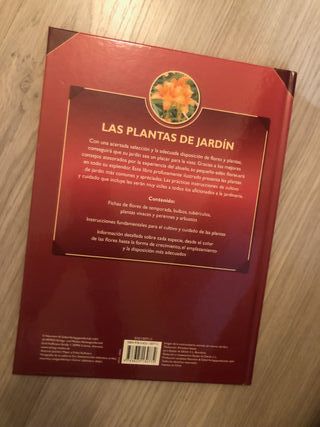 Las plantas de jardín.