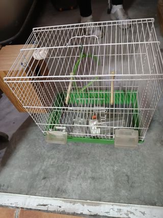 Jaula grande con caseta ponedora
