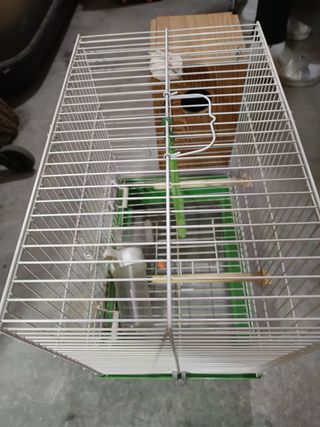 Jaula grande con caseta ponedora