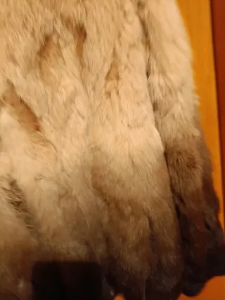 Chaquetón Conejo Corti Benet Talla M