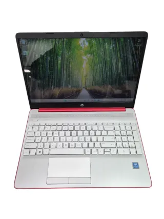Portátil HP Pentium 8GB RAM 500GB HD Plata/Rojo