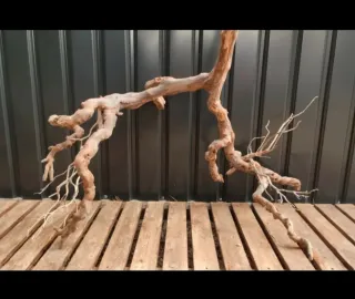 Raíz/tronco Decoración acuario OFERTA SOLO HOY!