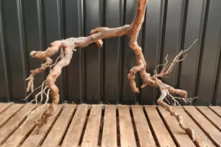 Raíz/tronco Decoración acuario OFERTA SOLO HOY!