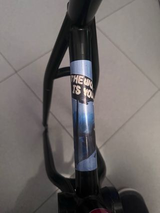 Cuadro BMX  Fiend Lewis Mills