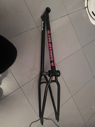 Cuadro BMX  Fiend Lewis Mills