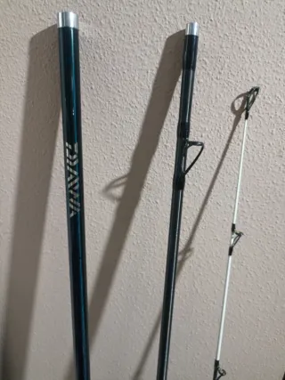 Caña Daiwa Tournament Surf Ed. Limitada acción 33