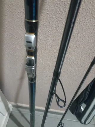 Caña Daiwa Tournament Surf Ed. Limitada acción 33