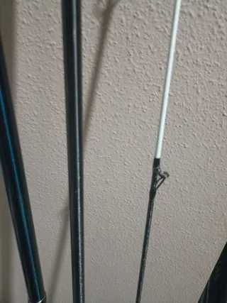 Caña Daiwa Tournament Surf Ed. Limitada acción 33