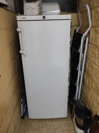 Arcón Congelador LIEBHERR Blanco