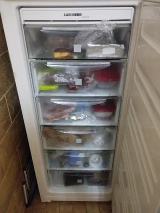 Arcón Congelador LIEBHERR Blanco