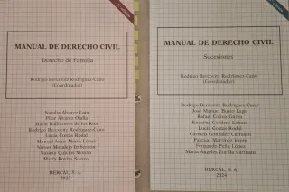 Manual de Derecho Civil (Familia, Sucesiones)