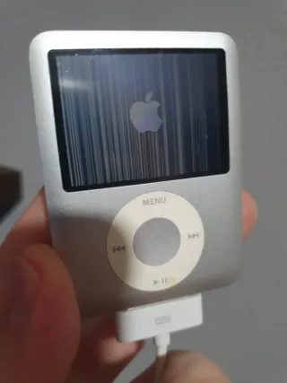 Apple iPod A1236 Plata