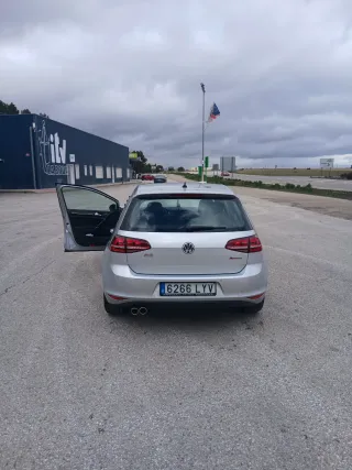 golf voldzvagane 2014