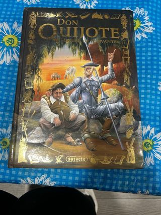 Don quijote