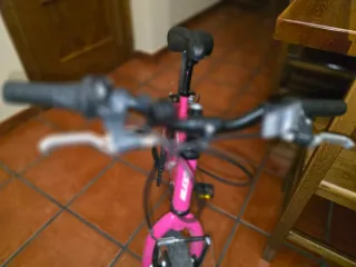 Bicicleta Niña Rosa DTB