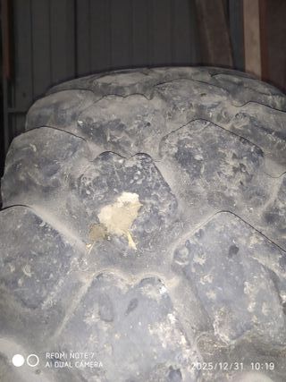 Neumático Camión Michelin X con raja