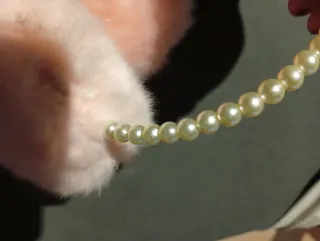 Fashion Chic paraorecchie peluche rosa con perle