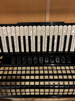 Acordeón Excelsior 950