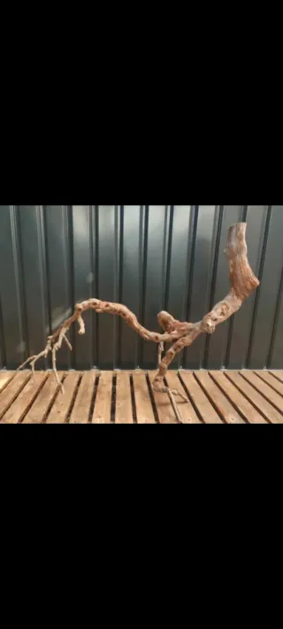 Raíz/tronco Decoración acuario OFERTA SOLO HOY!