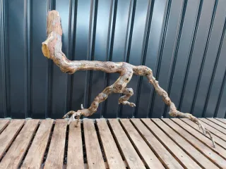 Raíz/tronco Decoración acuario OFERTA SOLO HOY!