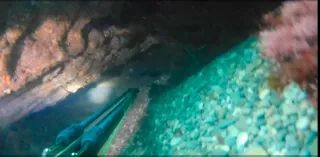 Linterna led pesca submarina