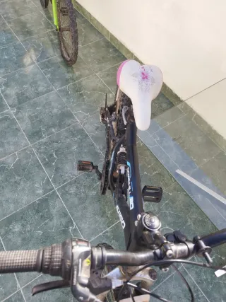 Bicicleta infantil Avigo Downhill 20