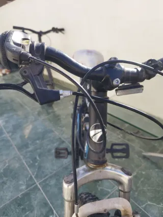 Bicicleta infantil Avigo Downhill 20