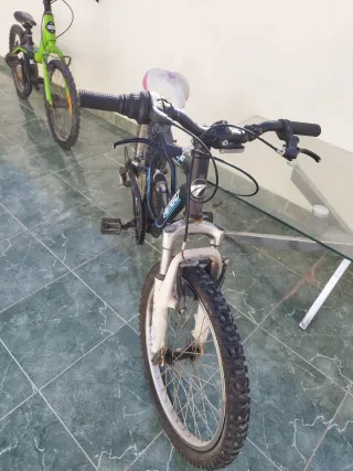 Bicicleta infantil Avigo Downhill 20