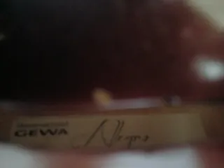 Violín 4/4 + todo lo que se ve en las fotos.