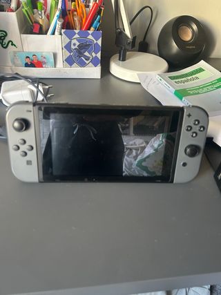 Nintendo Switch Grigio