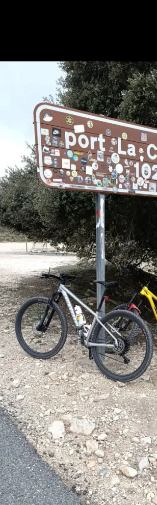 Bicicleta Specialized Rockhopper 29